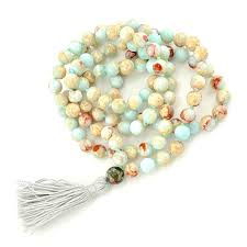 Image result for Aframomum mala