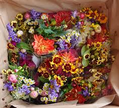 I also like to take care of their flower gardens. American Grown Flowers Local Flowers