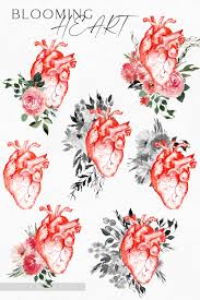 Download watercolor valentine's day elements collection for free. Watercolor Anatomical Heart Clipart Valentine Clipart With Watercolor Flowers And Heart In Illustrations On Yellow Images Creative Store