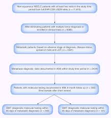 Patient Selection Procedure Csa Comprehensive Strategic