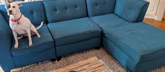 Next, sprinkle a thin layer of baking soda on your couch and let sit for 15 to 20 minutes, chemist and cleaning expert and alexis rochester tells lifehacker. Akxkeiihhrrwsm