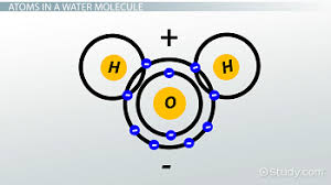 Color all oxygen red all hydrogen blue two electrons yellow cut all circles glue oxygen nucleus over center of o hydrogen nuclei over h glue oxygen and hydrogen. Cohesion In Water Definition Example Video Lesson Transcript Study Com