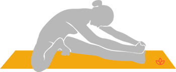 What Is Janu Sirsasana C Definition From Yogapedia