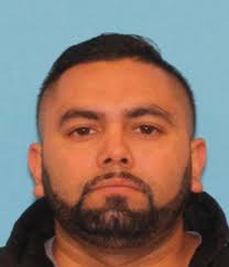 Dallas police will 'leave no stone unturned' in search for driver accused  of fleeing crash that killed 3 men