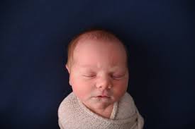 Little Fawn Photography