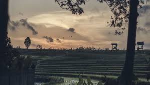 Check spelling or type a new query. Eco Chic Travel Environmentally Responsible Luxury Villas Resorts