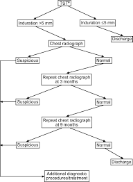 cost optimisation of screening for latent tuberculosis in