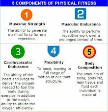 The higher your fitness level, the more you might crave increased amounts and increased intensity of exercise. 5 Components Of Fitness Health Lesson Plans Physical Fitness Physical Education Activities