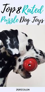 Dog puzzle toys are so great at relieving dog boredom that they are often the first port of call for dog behaviorists when recommending how to deal with a dog's destructive tendencies. 8 Best Enrichment Dog Puzzle Toys 2020 Reviews In 2020 Dog Puzzles Dog Puzzle Toys Dog Pet Beds