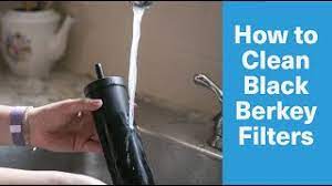 Watch how to prime and clean the black berkey filters. How To Clean Your Black Berkey Filters Youtube