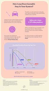 Marijuana will continue to cling to a hair follicle for as long as it is in your blood. Cannabis Can Stay In Your System For Up To 90 Days Honahlee