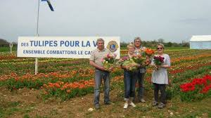 Les bénévoles de la ligue contre le cancer vendront des bouquets de tulipes sur le marché de terrasson (devant la mairie) le jeudi 23 mars pour les enfants atteints par le cancer. Des Tulipes Pour La Vie Le Long De La Route