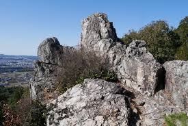 やまさんの岐阜ブログ