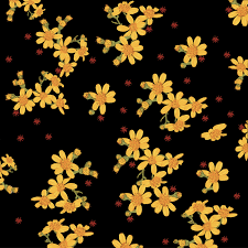 Black And Yellow Flowers Yellow Flowers Scattered On Black Background Stock Images Free Flower Drawing Photo