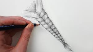 Lektion 2 von zeichnen mit bleistift: Wie Zeichnet Man Zopfe Mit Bleistift Fur Anfanger Einfach Zeichnen Lernen 15 Youtube