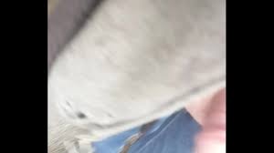 real life vlog from bucharest real sex 18 teen hot girl-XNXX.COM-walking on interurban trail