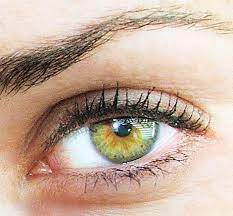 Hazel Eyes Are One Of The Least Understood Eye Colors This Color Is Semi Rare And Is A Combination Of Several Other Hazel Eyes Hazel Green Eyes Beautiful Eyes