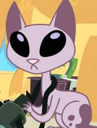 Gatos Gatitos Gatotes Y Michis Kid Vs Cat Old Kids Shows Happy Cartoon