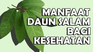 Penting untukmenggunakan semua obat yang diberikan dokter atau perawat anda untuk memastikan infeksi sepenuhnya diobati. Cara Guna Daun Salam Merawat Kencing Manis Dan Kolesterol Media Bawang