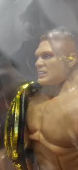 WWE Elite Figures Bundle Action Figures