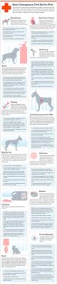 Dog Broken Leg From Injury To Recovery Pet Emergency Dog Broken Leg Dog Care Tips