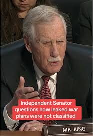 Senator Angus King Questions Tulsi Gabbard