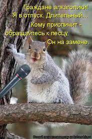 Котоматрица: Граждане алкаголики! Я в отпуск. Длительный... Кому приспичит  - обращайтесь к