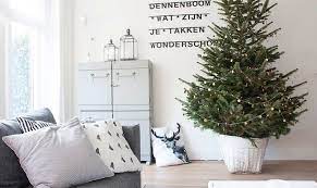 How To Choose A Living Tree To Replant After Christmas Christmas Tree Base Modern Christmas Decor Live Christmas Trees