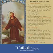 You also ask god to take your pet into his loving arms. 3 Novena Prayers To St Francis Of Assisi The Catholic Company
