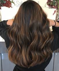 Black And Brown Highlights Hairstyles Black Hair With Brown Highlights In 2020 Hair Highlights Black Hair With Highlights Black Hair With Brown Highlights