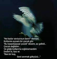 ben bir kus seni sevmek gokyuzu ozlu sozler guzel soz duygular