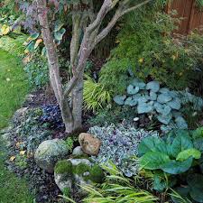 Pflanzen sie die kresse einfach zwischen brokkoli, blumenkohl und andere kohlsorten und genießen sie neben den guten erträgen auch den schönen. Pflanztipps Fur Den Vorgarten Im Schatten Ich Seh Grun