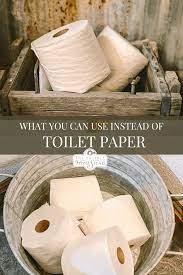 Bidets aren't just for the french or fancy folks! The Great Big List Of Toilet Paper Alternatives The Prairie Homestead