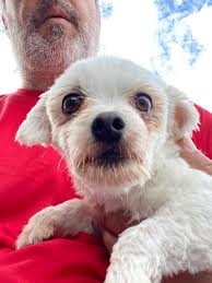 Profile for Marchetti Law, PC