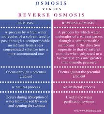 Difference Between Osmosis And Reverse Osmosis Pediaa Com