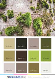 The vibrant green color and lush texture of moss creates a truly soothing and therapeutic visual effect. Dark Moss Green Paint Color Novocom Top