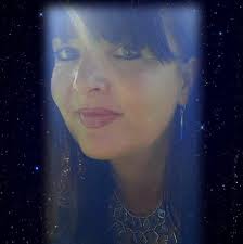 Wild Dolphin Swims Hawaii