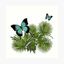 Además, en primavera también se hacen muchas escapadas a segundas residencias, así que no es algo que se aproveche solo dos meses al. Decoracion Mariposa Ulises Redbubble