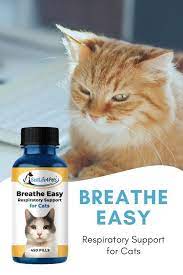 Pin On Cat Respiratory Health