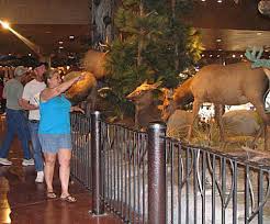 If you use an alternative payment method, you will not earn club points on your order. Bass Pro Shops In Mesa Arizona