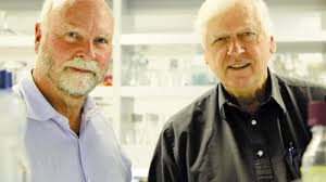 First synthetic cell created by scientists