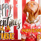 Visla Meetup at Pub Dog Colorado