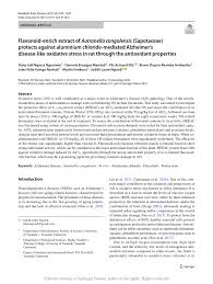 Image result for Vernonia congolensis