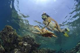 Dag Snorkeltrip Naar Het Dolfijnenhuis Van Hurghada Aangeboden Door Marsa Alam Tours Rode Zee En Sinai Tripadvisor