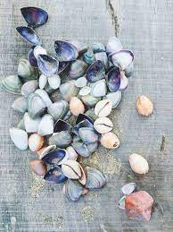 Jojotastic Travel Costa Rica Anywhere Part 3 Costa Rica Travel Costa Costa Rica