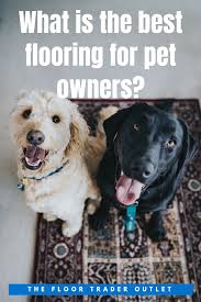 We get asked these questions very often, and i finally feel like i have a good answer! What S The Best Flooring For Pets