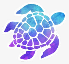 Sea Turtle Clipart Watercolor Outline Black And White Turtle Hd Png Download Kindpng Turtles are reptiles with hard shells that protect them from predators. sea turtle clipart watercolor outline