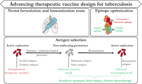 Around the world, volunteers are getting a vaccine developed to prevent tuberculosis in studies that have nothing to do with tb. Frontiers Advancing Immunotherapeutic Vaccine Strategies Against Pulmonary Tuberculosis Immunology