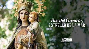 Evangelio del día 3 abril 2021 (sábado santo). Virgen Del Carmen Flor Del Carmelo Estrella De La Mar Catolicos Con Accion