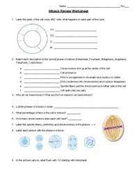 We did not find results for: Mitosis Review Worksheet Answers Promotiontablecovers
